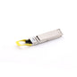 1.6T 2xDR4/DR8 OSFP224 PAM4 1310nm 500m DOM Dual MPO-12/APC Single-mode Optical Module